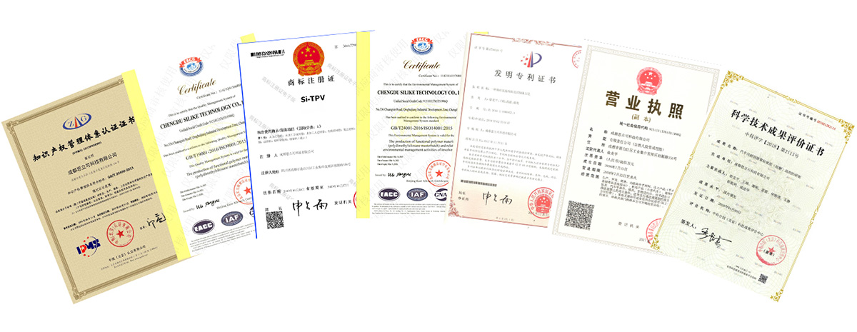 Certificato-2